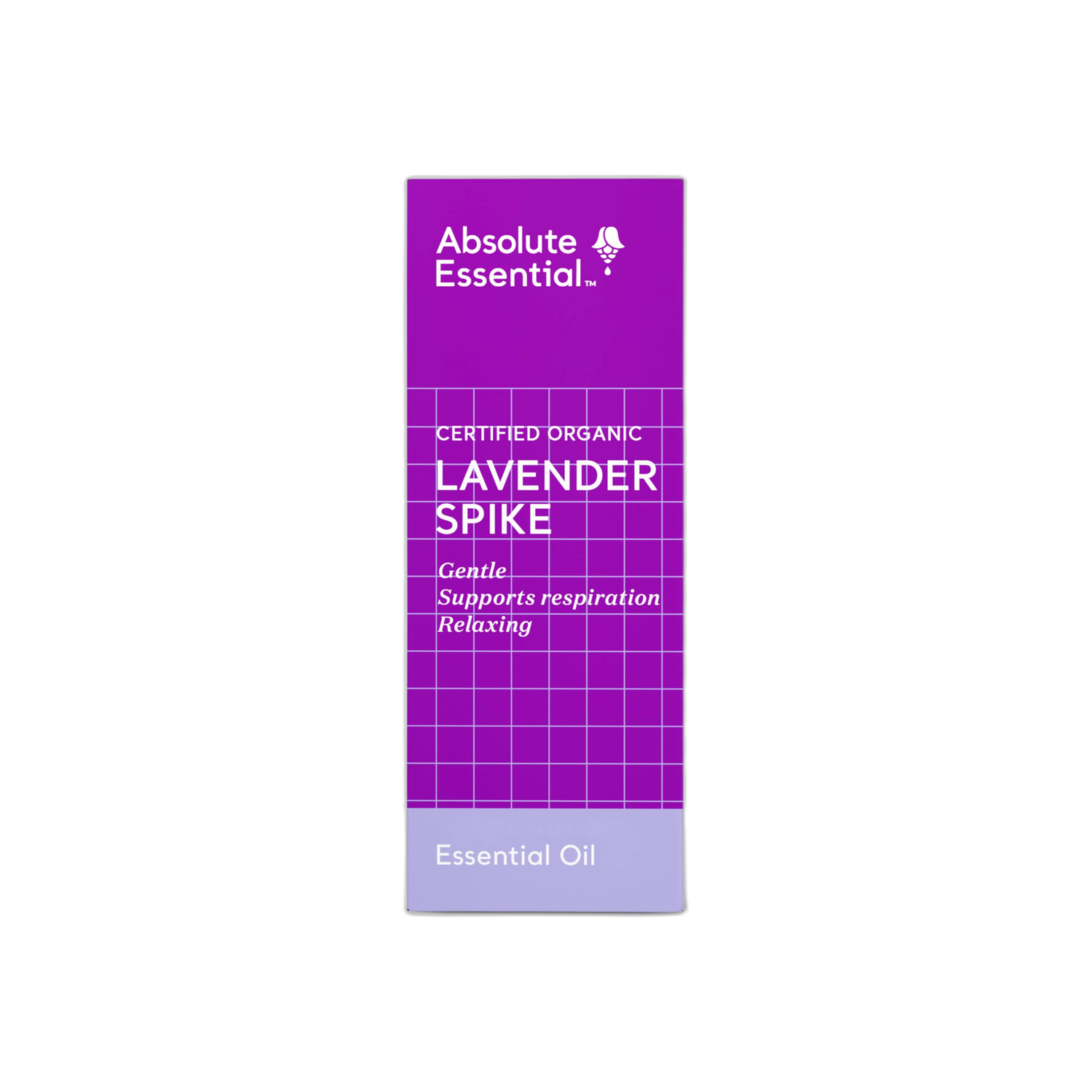 Lavender Spike