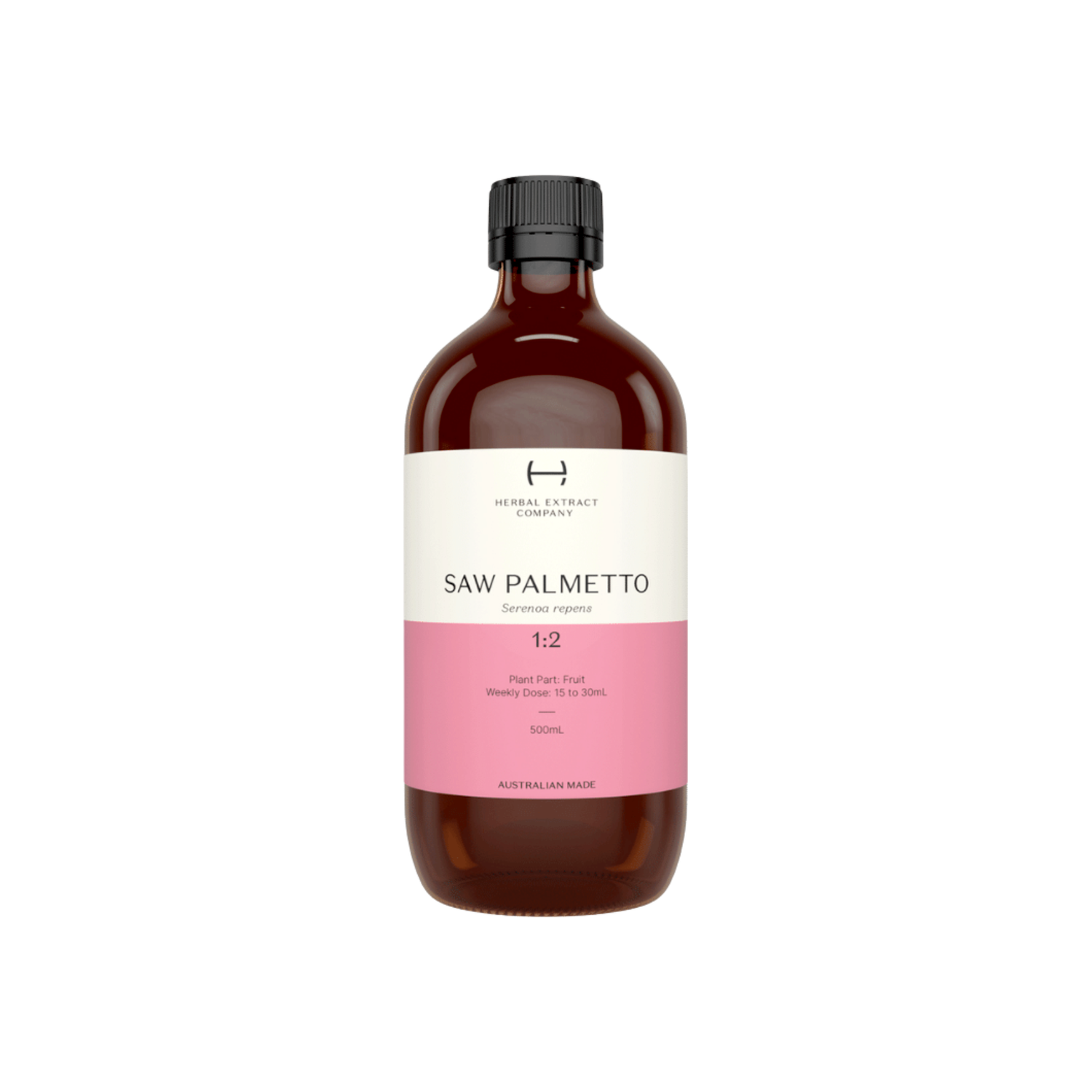 Saw Palmetto 1:2