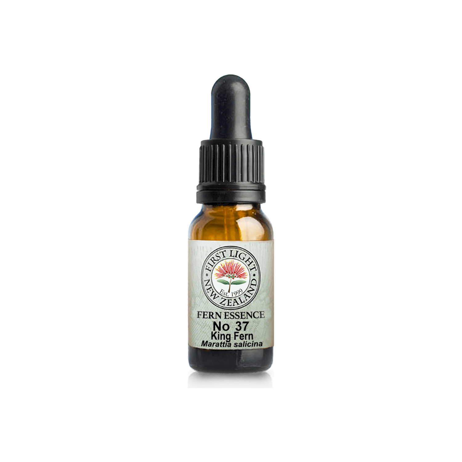 No. 37 - King Fern (Security) 10ml