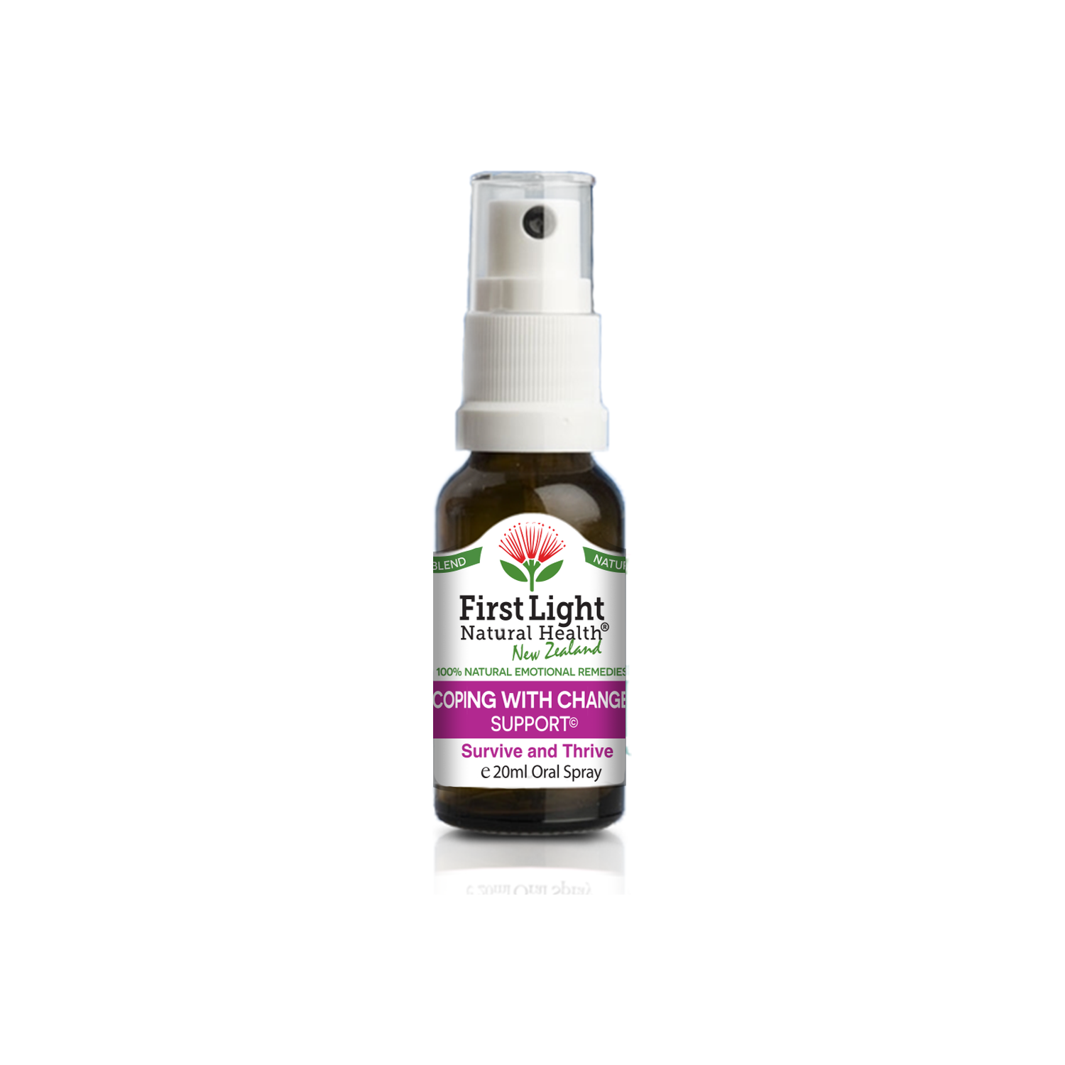 Coping With Change Support (Survive and Thrive) 20ml
