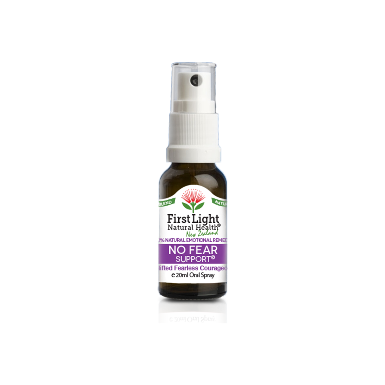 No Fear Support (Uplifted Fearless Courageous) 20ml
