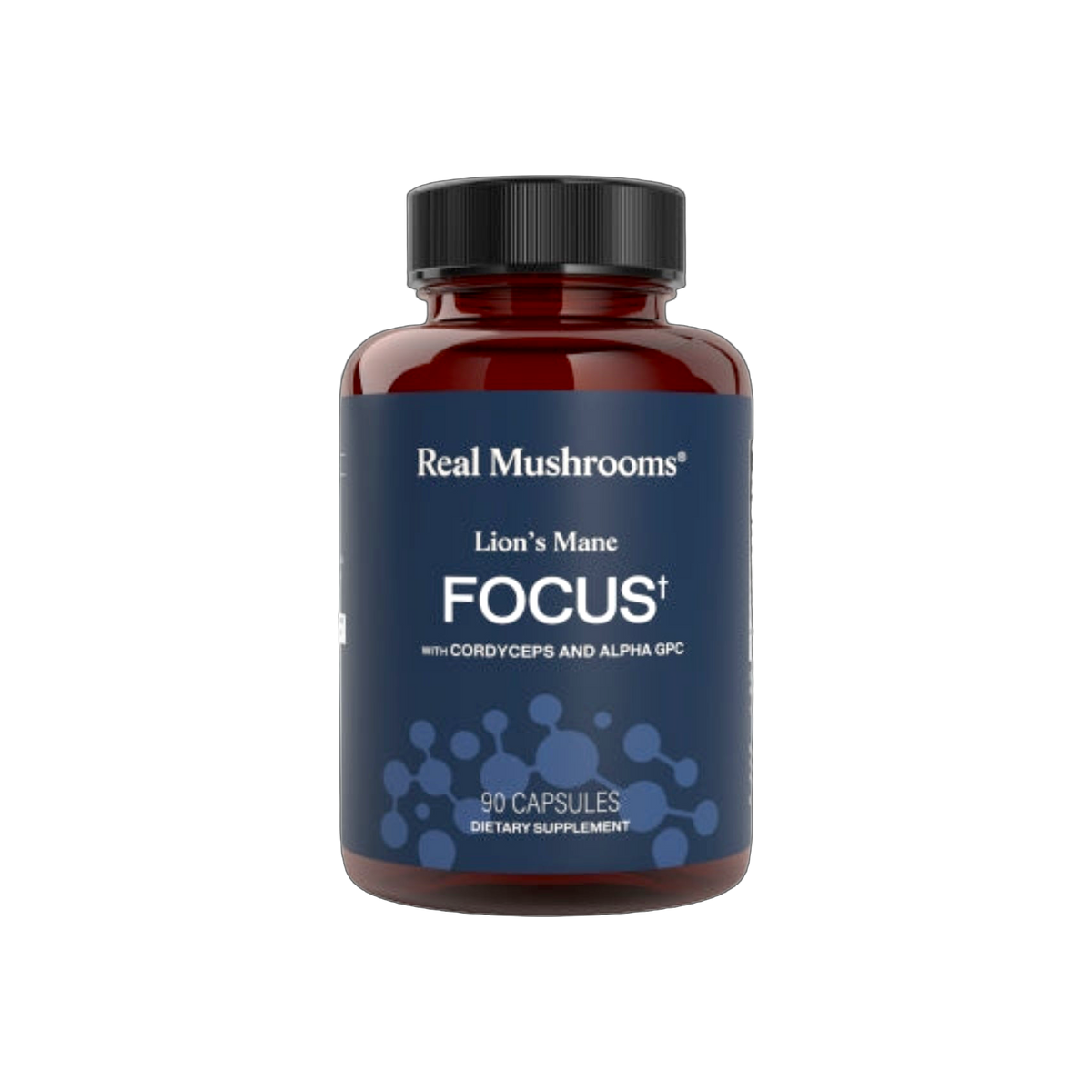 Lion's Mane Focus