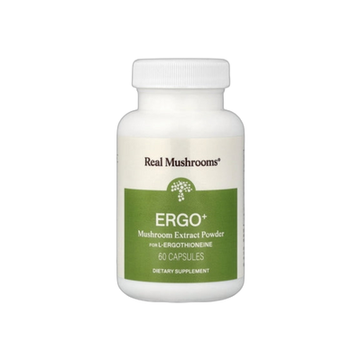 ERGO