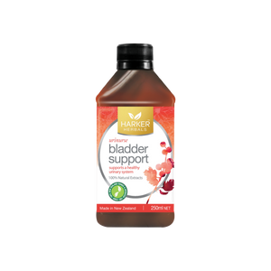 Bladder Support