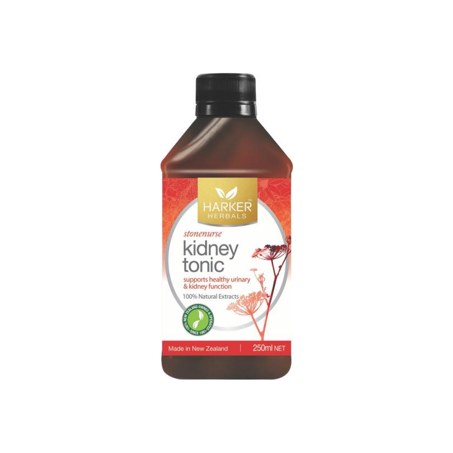 Kidney Tonic