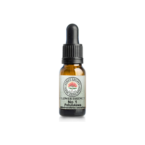 No. 01 - Pohutukawa (Initiative)  10ml