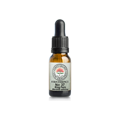 No. 37 - King Fern (Security) 10ml