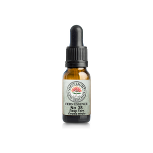 No. 38 - Rasp Fern (Boundaries) 10ml