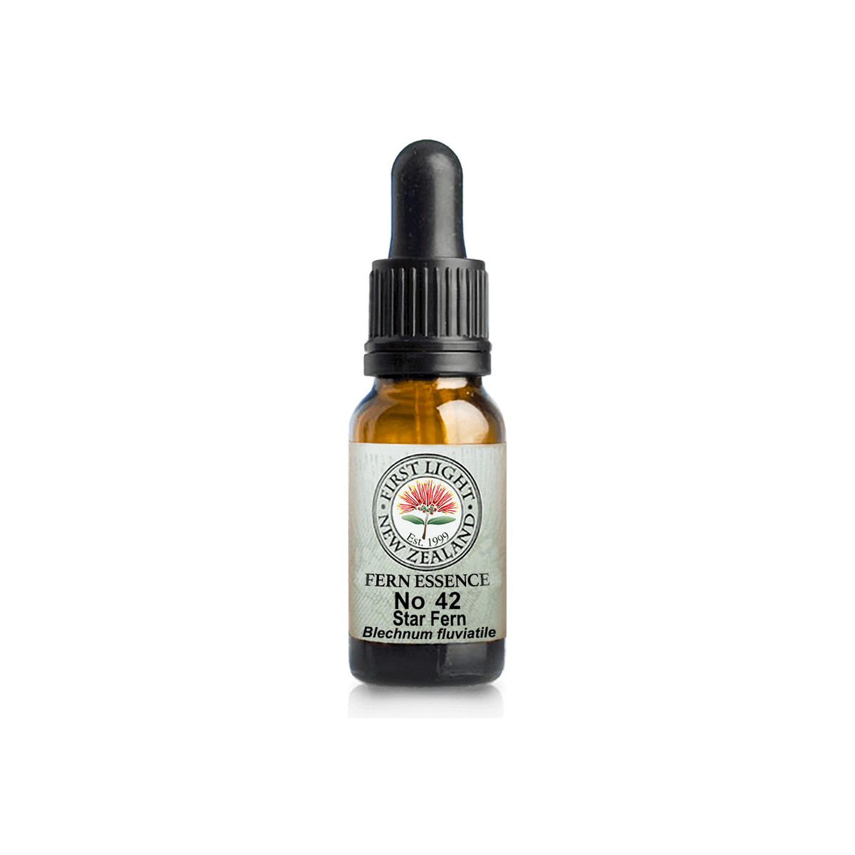 No. 42 - Star Fern (Authenticity) 10ml