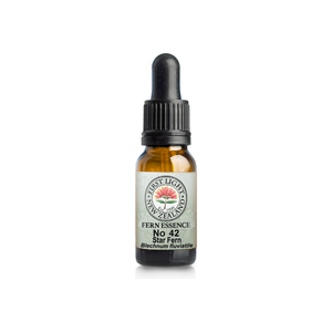 No. 42 - Star Fern (Authenticity) 10ml