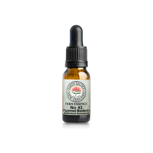 No. 43 - Plumed Maidenhair Fern (Direction) 10ml