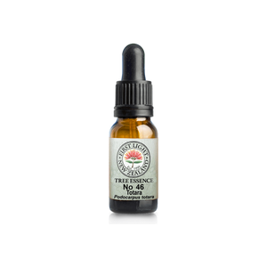 No. 46 - Totara (Inner Power) 10ml