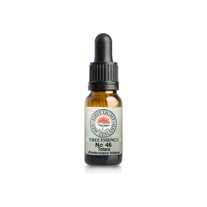 No. 46 - Totara (Inner Power) 10ml