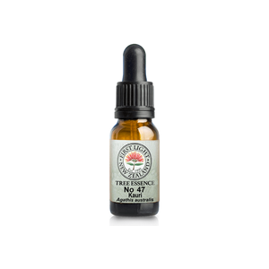 No. 47 - Kauri (Beauty) 10ml
