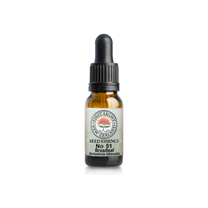 No. 51 - Broadleaf (Reverence) 10ml