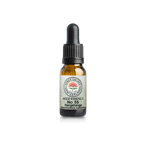 No. 55 - Hangehange (Truth) 10ml