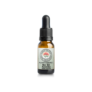 No. 64 - Koromiko (Wisdom) 10ml