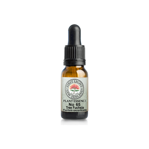 No. 65 - Tree Fuchsia (Feminine Power) 10ml