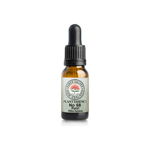 No. 68 - Puriri (Discernment) 10ml