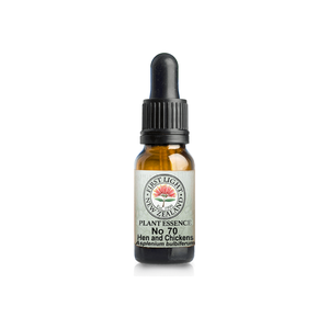 No. 70 - Hen and Chickens Fern (Strength) 10ml