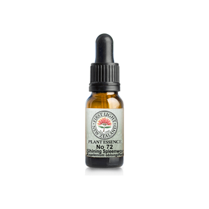 No. 72 - Shining Spleenwort (Synchronicity) 10ml