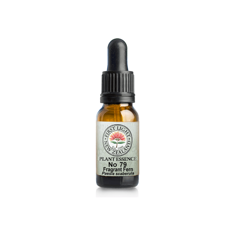 No. 79 - Fragrant Fern (Hope) 10ml