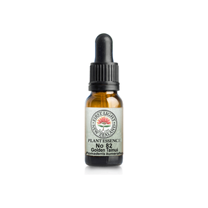 No. 82 - Golden Tainui (Renewal) 10ml