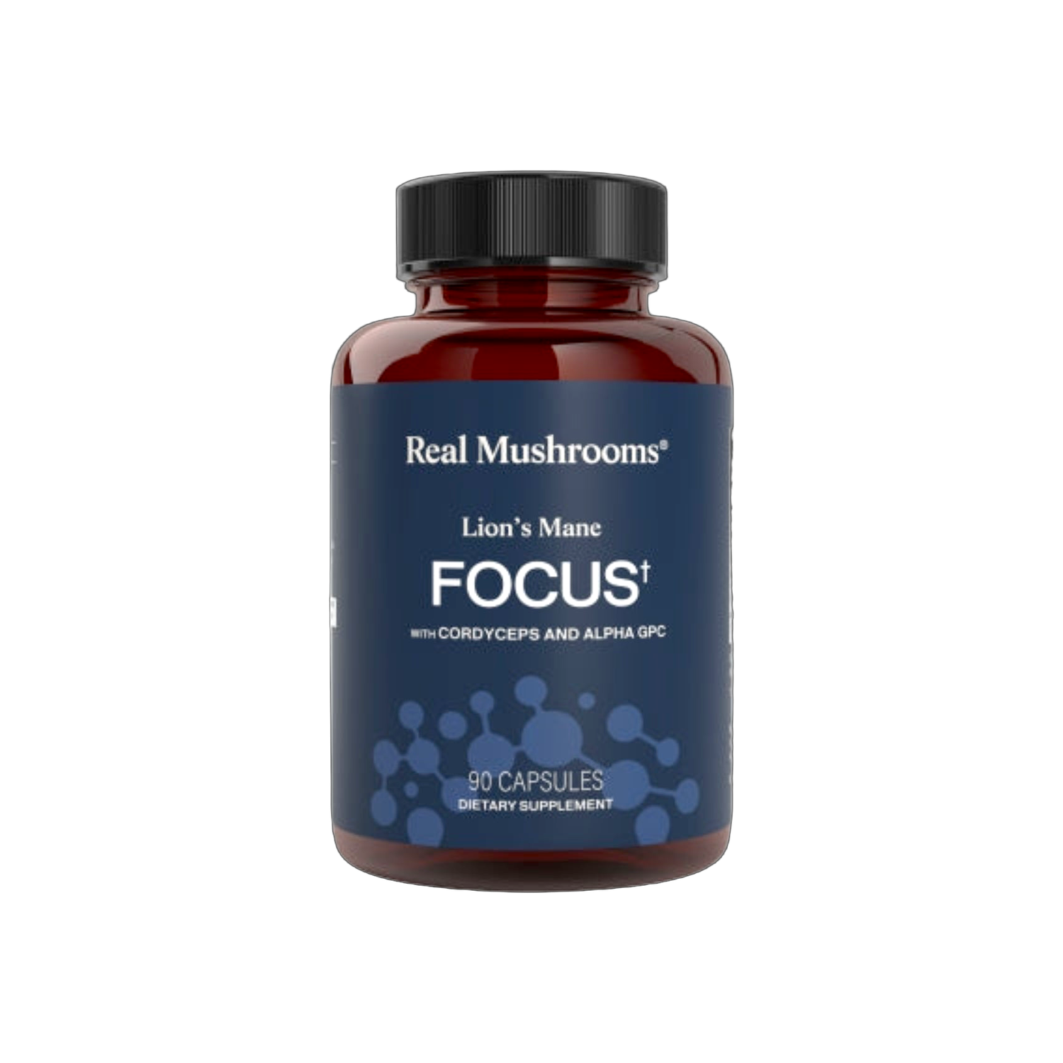 Lion's Mane Focus