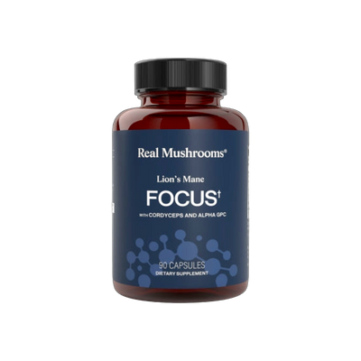 Lion's Mane Focus
