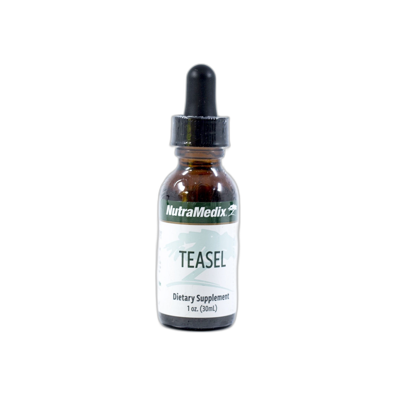 Teasel - Microbial Defence