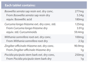 Supplement facts for SynerGesic