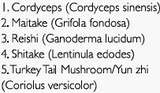 Supplement facts for 5 Mushroom Blend 1:2 - 500ml listing ingredients including Cordyceps, Cordyceps sinensis, Ganoderma Lucidum, Grifola frondosa, Lentinula edodes