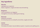 Supplement facts for Child Immune Care 10ml listing ingredients including Bergamot, Lemon Extract