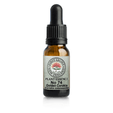 A supplement container of No. 74 - Golden Corokia (Grace) 10ml by First Light Flower Essences