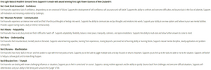 Supplement facts for Stressed Teen Support (Peaceful Mind) 20ml listing ingredients including Bracken Fern, Cook Strait Groundsel, Karamu, Koru, Mountain Parahebe