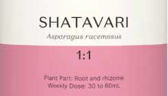 Supplement facts for Shatavari 1:1 listing ingredients including Asparagus racemosus, Shatavari (Asparagus racemosus)