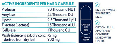 Supplement facts for Digestive Enzymes Plus listing ingredients including Amylase, Cellulose (vegetarian capsule), Lactase, Lipase, Perilla (Perilla frutescens)