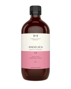 A supplement container of Angelica 1:1 by Herbal Extract Company