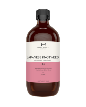A supplement container of Japanese Knotweed by Herbal Extract Company