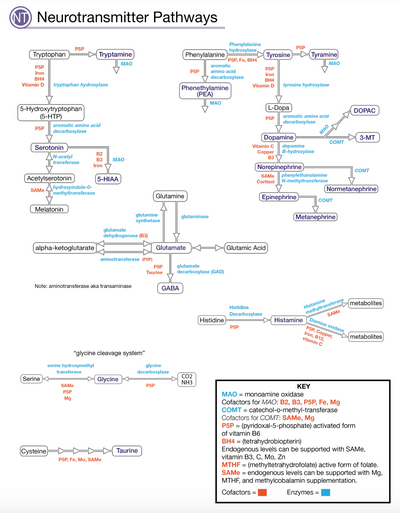 Comprehensive Neurotransmitters Profile (formerly Neuro-Biogenic Amines, Comprehensive)