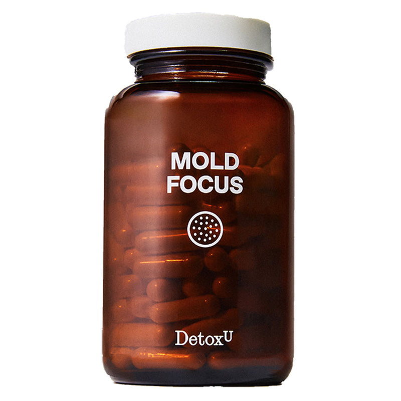 Mold Focus