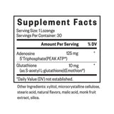 Energy Nutrients