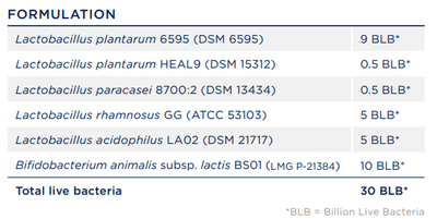 Text reading the ingredients of this product including, Lactobacillus plantarum 6595, Lactobacillus plantarim DSM 15312, paracasei DSM 13434, rhamnosus GG ATCC 53103, acidophilus DSM 21717, Lactis BS01 p-21384